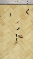 Ant Smasher - Ninja ant smasher capture d'écran 2