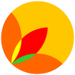 Espatodea