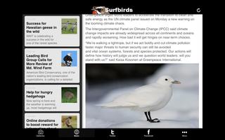 Surfbirds imagem de tela 3