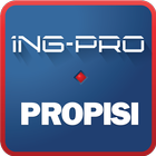 Propisi ING-PRO-icoon