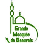 The Great Mosque of Beauvais icône