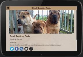 Canil Quadros Faria screenshot 3
