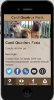 Canil Quadros Faria-poster