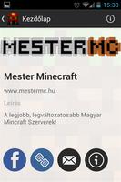 MesterMC Cartaz