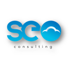 SEO Consulting icône