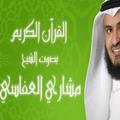 Quran voice Afasy