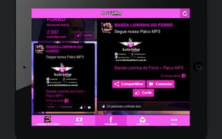 BANDA LOIRINHA DO FORRÓ Screenshot 3