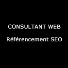 Consultant Web paris أيقونة