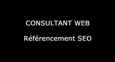 Consultant Web paris الملصق