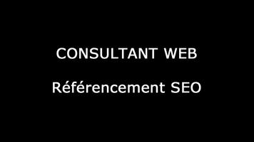 Consultant Web paris تصوير الشاشة 1