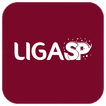 Liga SP Carnaval