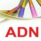 ADN Salta simgesi