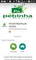 Portal Pebinha de Açúcar 포스터