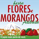 Festa de Flores e Morangos ícone