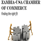 Zambia USA Chamber أيقونة