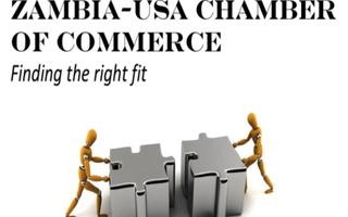 Zambia USA Chamber تصوير الشاشة 1