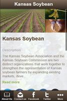 Kansas Soybean Affiche