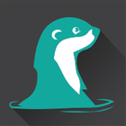 Splashy Fen Music Festival icon