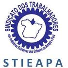 Stieapa icon