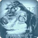 APK Snapet