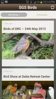 SGS Birds 截图 2