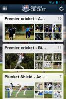 Auckland Cricket captura de pantalla 1