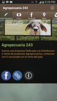 Agropecuaria 243 海报