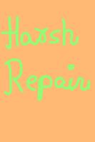 Harsh Repairs Affiche