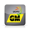 Gruppo GM SRL
