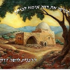 הרבנית ליסה דדון icon