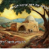 הרבנית ליסה דדון icon