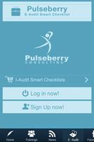 Pulseberry Consulting imagem de tela 1