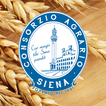 Consorzio Agrario Siena