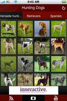 Hunting Dogs الملصق