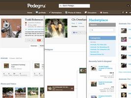 Pedegru Screenshot 2