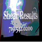 Shear Results icon