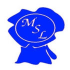 MSL GO icône