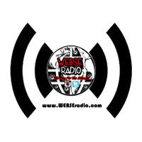 WEBSEradio screenshot 1