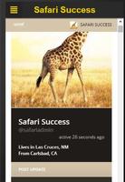 Safari Success Affiche