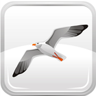 Seagull Book icon