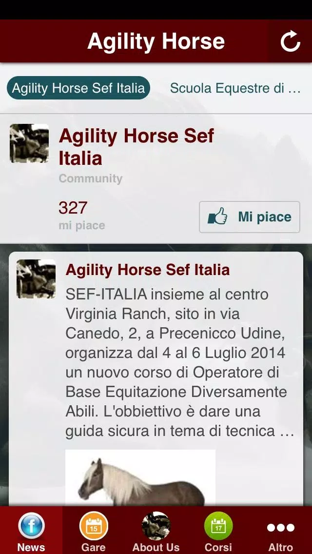 Agility Horse SEF Italia APK for Android Download