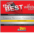 Carpet Cleaning icono