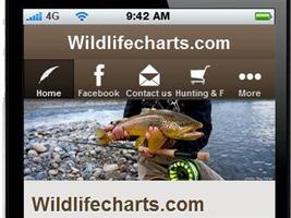 WildlifeCharts syot layar 3