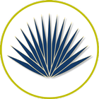 Blue Agave icon