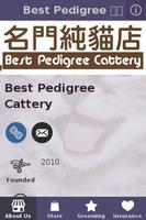 Best Pedigree Cattery 名門 imagem de tela 1