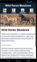 Wild Horse Meadows Poster