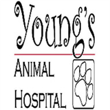 Young's Animal Hospital-icoon