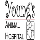 Young's Animal Hospital आइकन