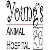 Young's Animal Hospital icon