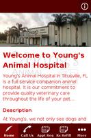 Young's Animal Hospital Affiche
